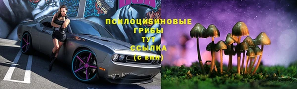 прущая мука Алзамай