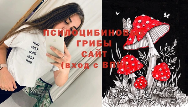 молекула духа Алексин