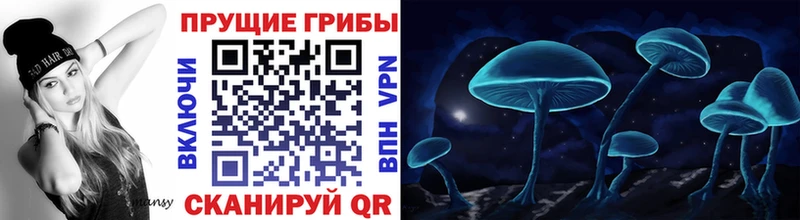 купить  сайты  Северодвинск  Псилоцибиновые грибы мухоморы 